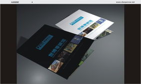 锐意进取，箭指未来 上海浦东与太仓地区品牌视觉与软件开发服务纵览