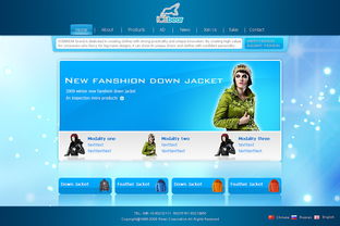 羽绒服产品网页设计与软件开发全流程解析